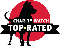 Top Rated Charity by Charity Watch